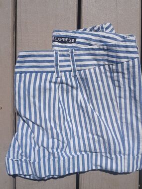Vintage Express Blue and White Striped Shorts